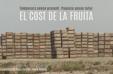 El cost de la fruita